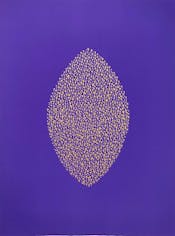 Gold Lace (Purple)